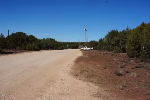 45 County Rd, Vernon, AZ 85940 - Photo 30