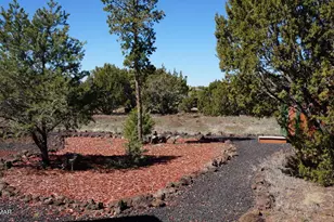 45 County Rd, Vernon, AZ 85940 - Photo 20