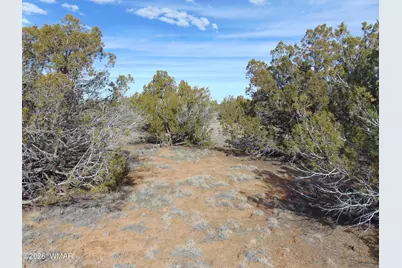 51 &amp; 49 County Road 8243 Road, Vernon, AZ 85940 - Photo 4