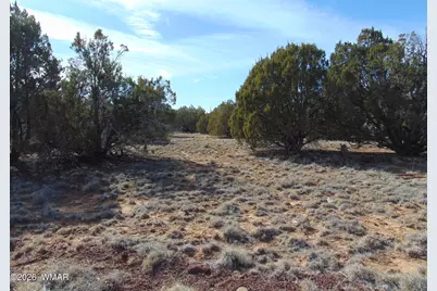 51 &amp; 49 County Road 8243 Road, Vernon, AZ 85940 - Photo 18