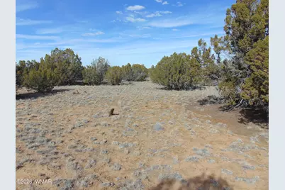 51 &amp; 49 County Road 8243 Road, Vernon, AZ 85940 - Photo 10