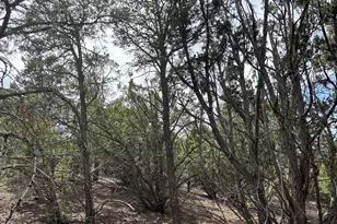 40 N3129, Vernon, AZ 85940 - Photo 42