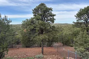 40 N3129, Vernon, AZ 85940 - Photo 16