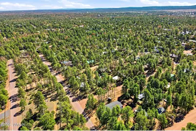 2893 Tracy Road, Overgaard, AZ 85933 - Photo 26