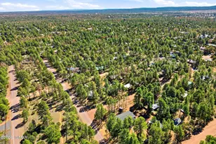 2893 Tracy Rd, Overgaard, AZ 85933 - Photo 26