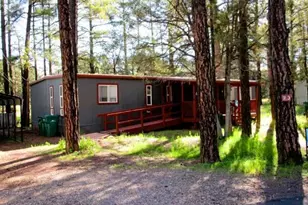 1031 N 43rd Cir, Show Low, AZ 85901 - Photo 4