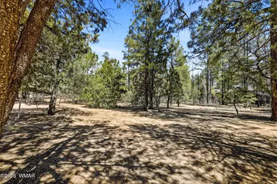 5039 Winter Hawk Court, Lakeside, AZ 85929 - Photo 8