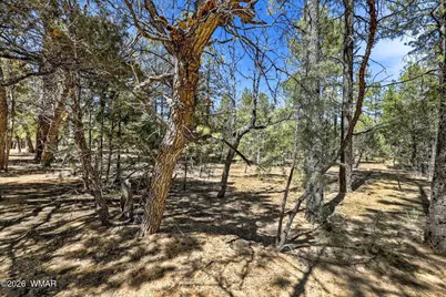 5039 Winter Hawk Court, Lakeside, AZ 85929 - Photo 6