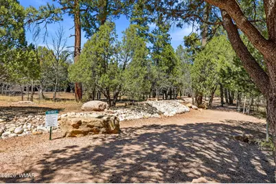 5039 Winter Hawk Court, Lakeside, AZ 85929 - Photo 4