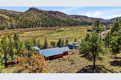 2 Country Road  1013, Greer, AZ 85927 - Photo 4