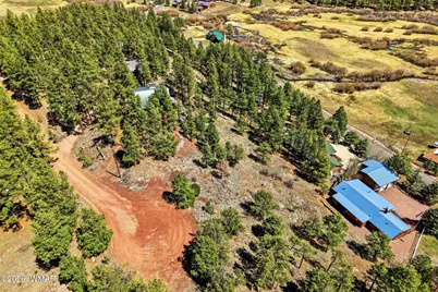 2 Country Road  1013, Greer, AZ 85927 - Photo 10