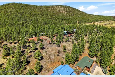 2 Country Road  1013, Greer, AZ 85927 - Photo 12
