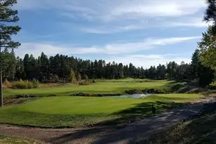 910 S Barberry Ln, Show Low, AZ 85901 - Photo 66