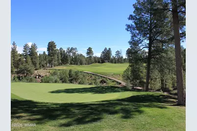 910 S Barberry Lane, Show Low, AZ 85901 - Photo 64