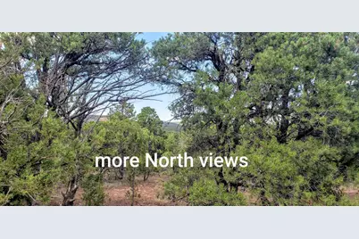 7 N3065, Vernon, AZ 85940 - Photo 6