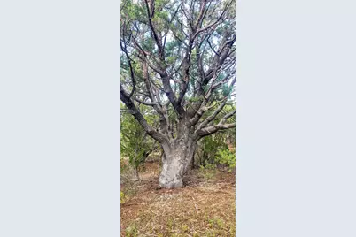 7 N3065, Vernon, AZ 85940 - Photo 12