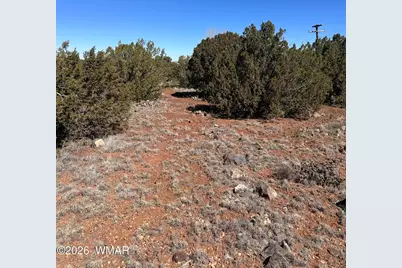 8490 Canyon Drive, Show Low, AZ 85901 - Photo 2