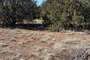 8489 Rifle Dr, Show Low, AZ 85901 - Photo 1