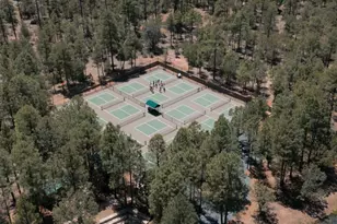 2540 W Pinegrass Rd, Show Low, AZ 85901 - Photo 14