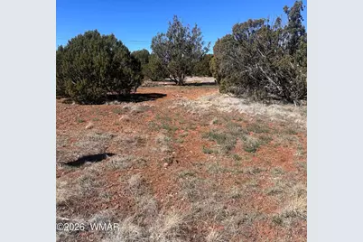 Lot 338 Bartlett Pl, Show Low, AZ 85901 - Photo 1