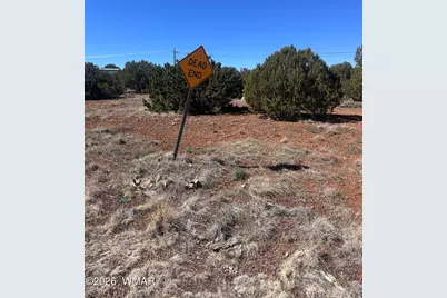 Lot 338 Bartlett Pl, Show Low, AZ 85901 - Photo 2