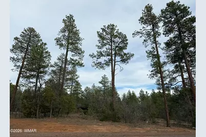 5961 Starlight Ridge Road, Lakeside, AZ 85929 - Photo 14