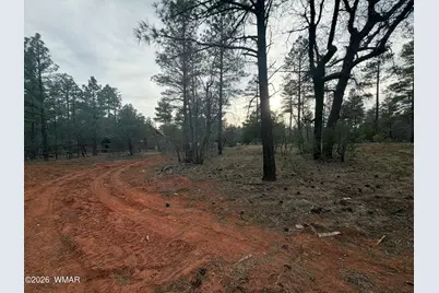 5961 Starlight Ridge Road, Lakeside, AZ 85929 - Photo 10