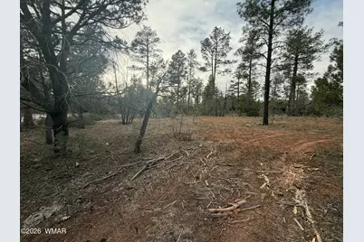 5961 Starlight Ridge Road, Lakeside, AZ 85929 - Photo 6