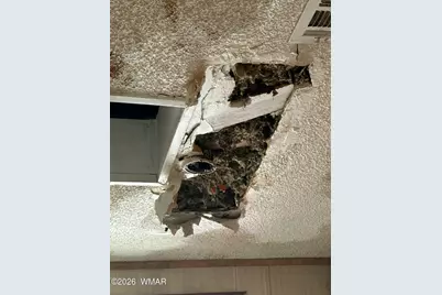 741 S 29th Avenue, Show Low, AZ 85901 - Photo 4