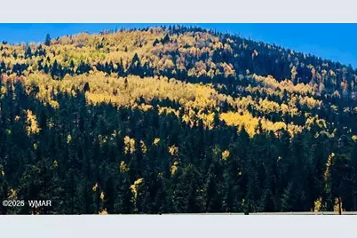 4551 Resort Loop Loop, Pinetop, AZ 85935 - Photo 20