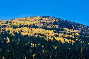 2138 N Wind Dr, Pinetop, AZ 85935 - Photo 30