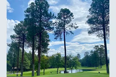 2138 N Wind Drive, Pinetop, AZ 85935 - Photo 28