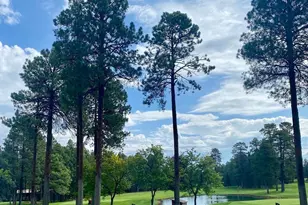 2138 N Wind Dr, Pinetop, AZ 85935 - Photo 28