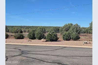 8202 Apache Way, Unit 423 #423, Show Low, AZ 85901 - Photo 20