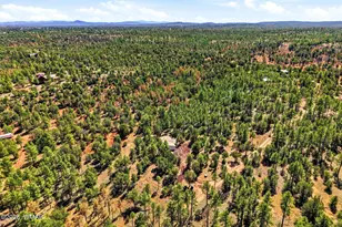 757 Jacks Wild Rd, Show Low, AZ 85901 - Photo 34