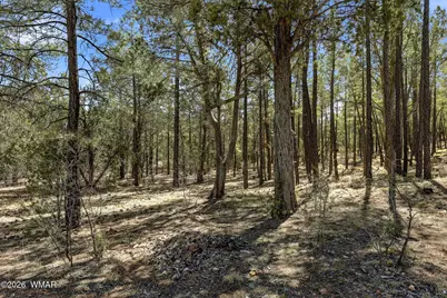 757 Jacks Wild Road, Show Low, AZ 85901 - Photo 30