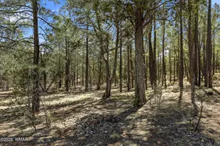 757 Jacks Wild Rd, Show Low, AZ 85901 - Photo 30