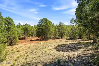 757 Jacks Wild Road, Show Low, AZ 85901 - Photo 28
