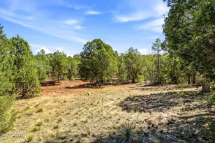 757 Jacks Wild Rd, Show Low, AZ 85901 - Photo 28