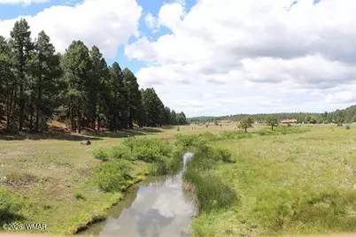1041 S Ridgeline Drive, Show Low, AZ 85901 - Photo 6