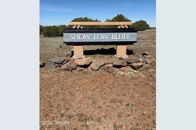 1041 S Ridgeline Drive, Show Low, AZ 85901 - Photo 8