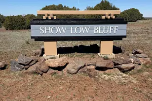 1041 S Ridgeline Dr, Show Low, AZ 85901 - Photo 8