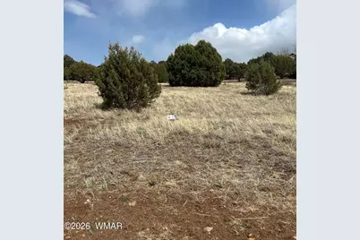 1041 S Ridgeline Drive, Show Low, AZ 85901 - Photo 6