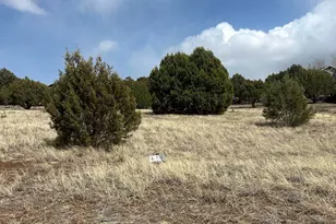 1041 S Ridgeline Dr, Show Low, AZ 85901 - Photo 6