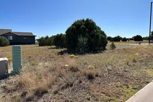 1041 S Ridgeline Dr, Show Low, AZ 85901 - Photo 4