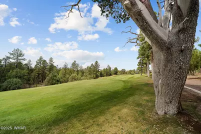 200 N Sorrel Court, Show Low, AZ 85901 - Photo 46