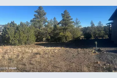 2060 E Bluff Ridge Road, Show Low, AZ 85901 - Photo 4