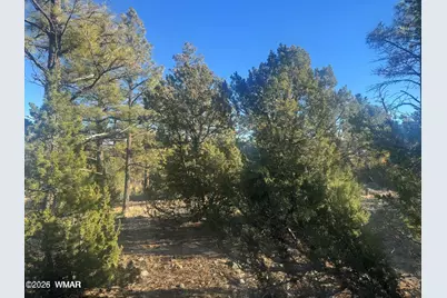 2060 E Bluff Ridge Road, Show Low, AZ 85901 - Photo 1
