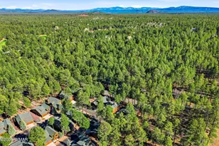 3915 Elk Hollow Dr, Pinetop, AZ 85935 - Photo 38