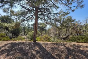 949 Geronimo Ln, Show Low, AZ 85901 - Photo 46